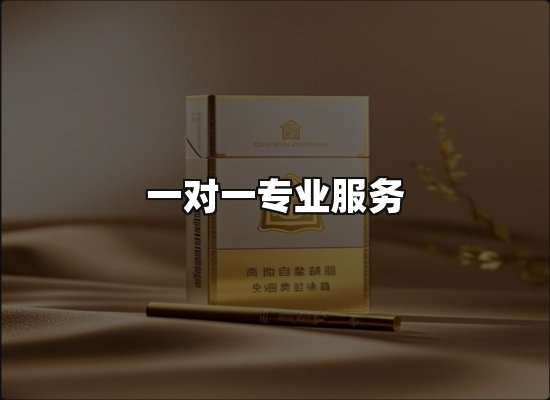 专业优势